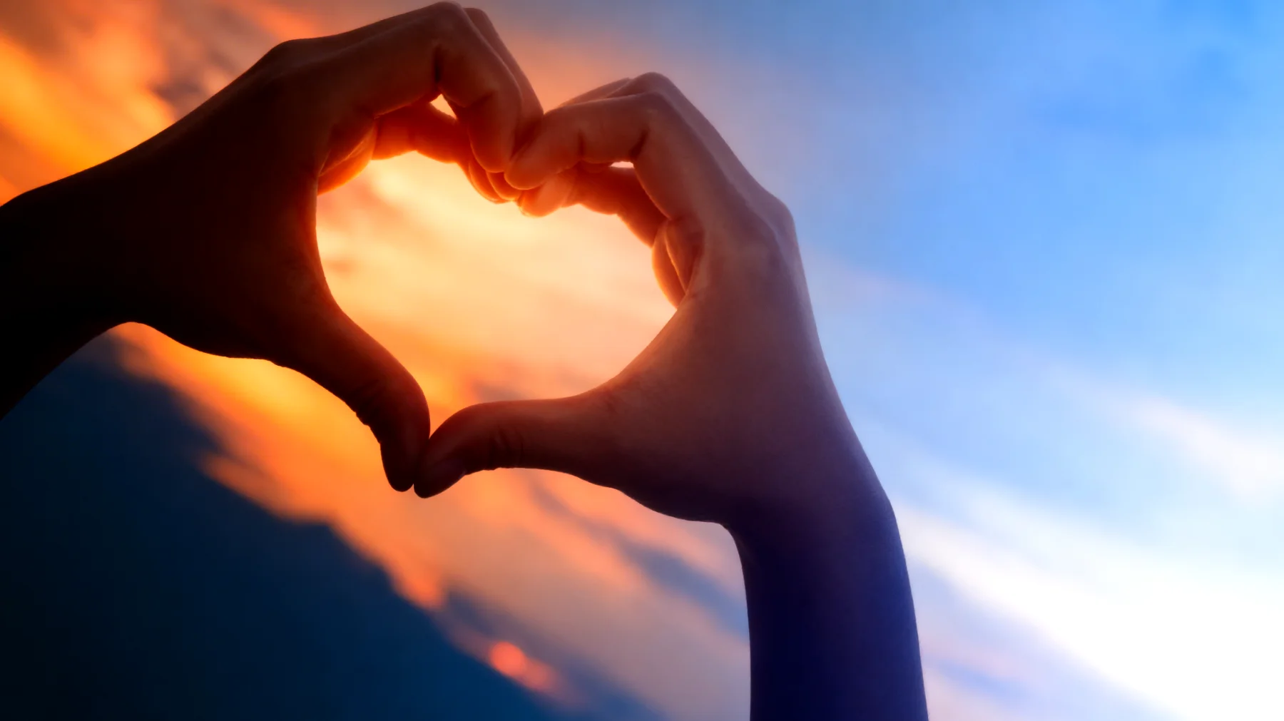 Beautiful 2026-02-19T14:32:21.875Z"